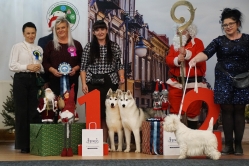 Mikołajkowa Wystawa Luki Wielogóra- Radom 8.12.2024